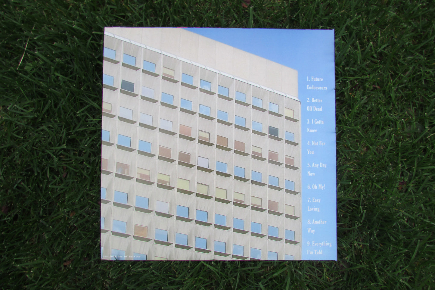 Any Day Now - 12" Peach Vinyl
