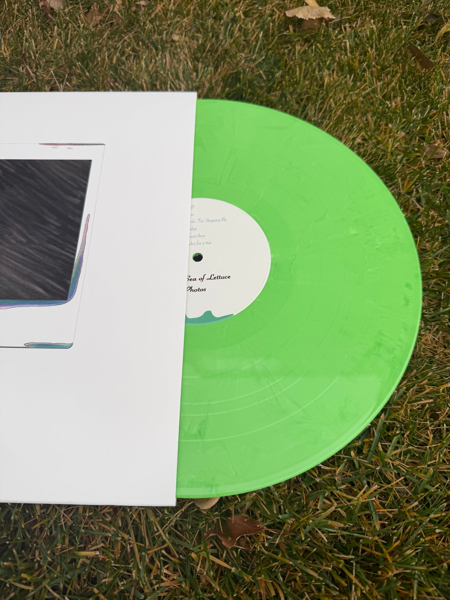 Photos - 12" Lettuce Green Vinyl