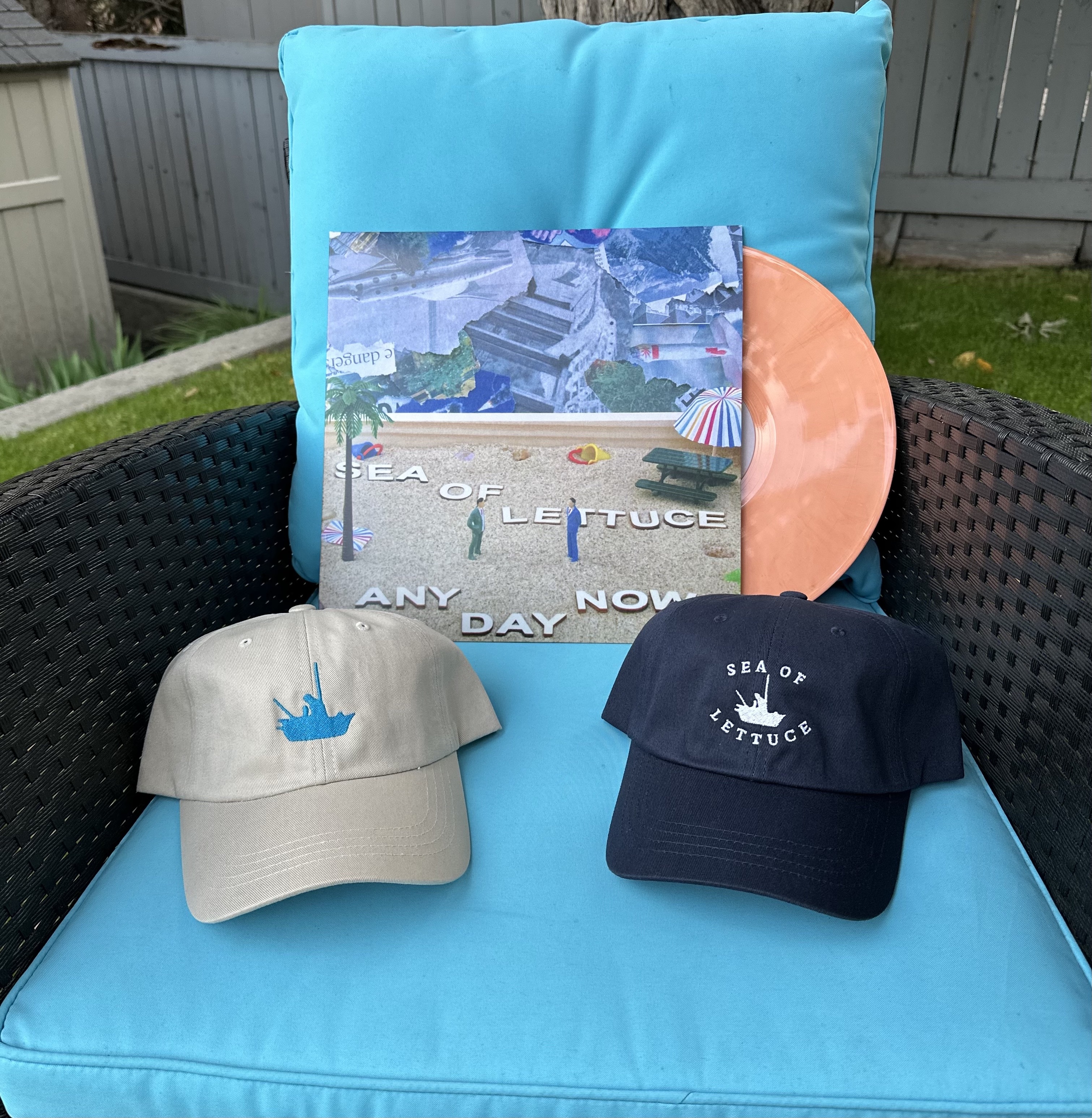 Hat + Vinyl Bundle